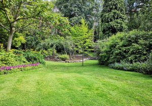 Optimiser l'expérience du jardin à Saint-Hilaire-de-Voust